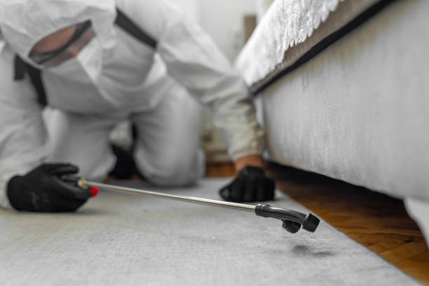 Professional Cockroach Control technician working in Ocean Ridge, FL